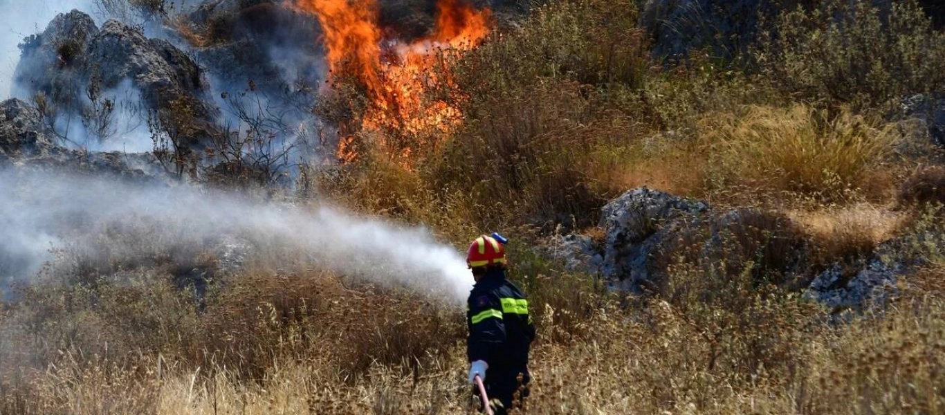 Ηλεία: Φωτιά σε δασική έκταση κοντά στην Κυανή Ακτή